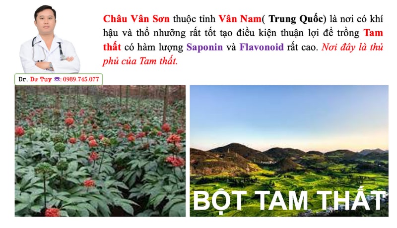 Cách sử dụng tam thất