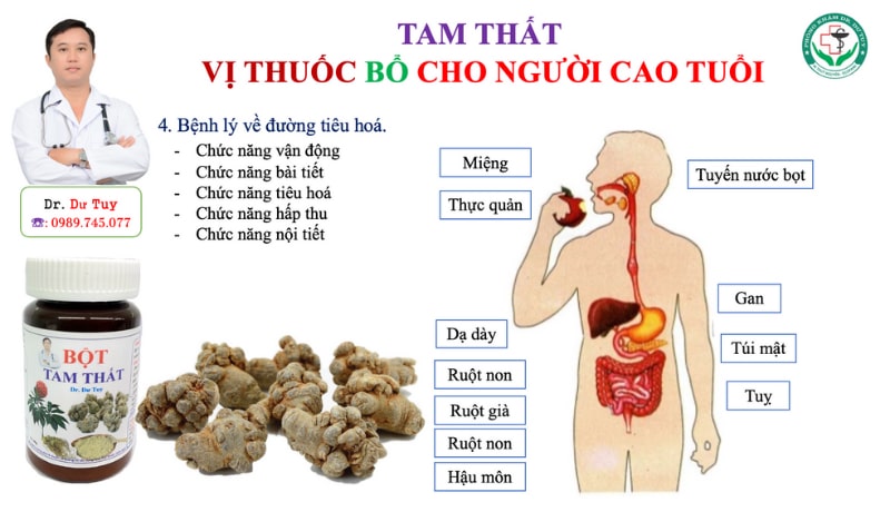 Cách uống tam thất chữa u xơ tử cung