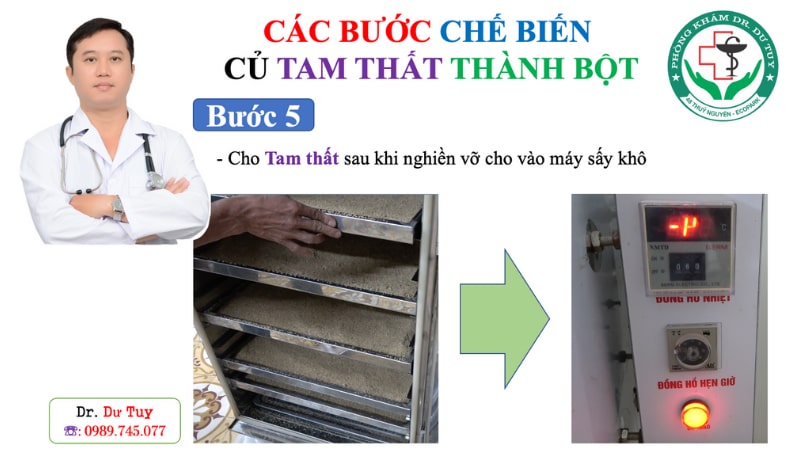 Cách uống tam thất chữa u xơ tử cung