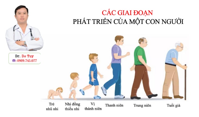 Gà hầm tam thất lá ngải