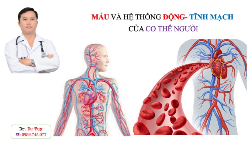 Hầm gà tam thất cho bà đẻ