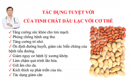 Tác dụng tuyệt vời của tinh chất dầu lạc với cơ thể