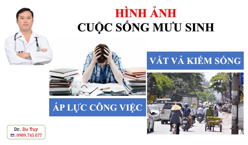 Tác dụng của tam thất mật ong