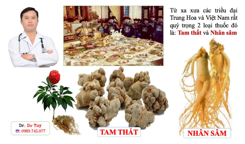 Tác dụng của tam thất mật ong