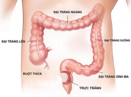 Thuốc Đông Y gia truyền đặc trị bệnh viêm đại tràng