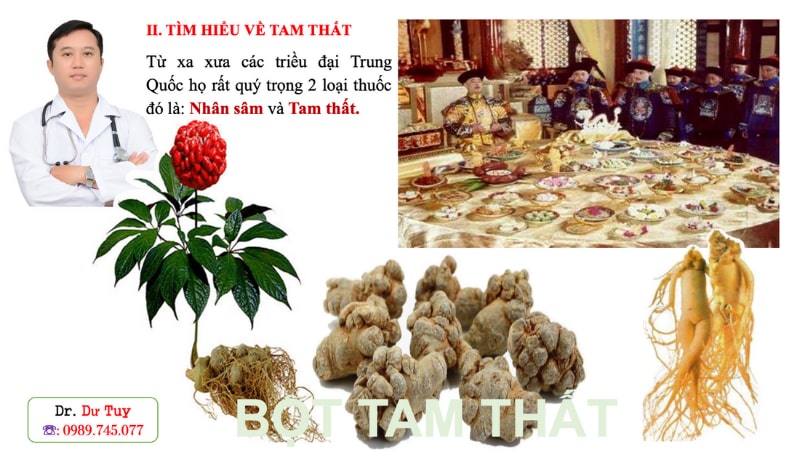 Uống tam thất có tác dụng gì