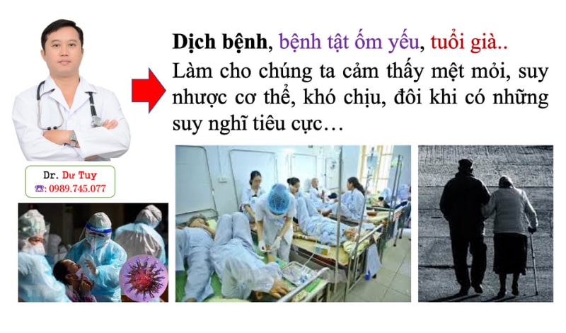 Uống tam thất có tác dụng gì