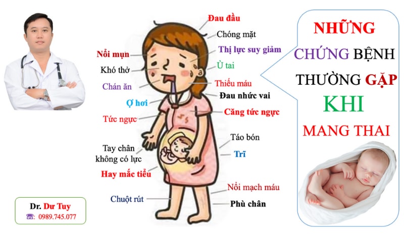 Uống tam thất có tác dụng gì