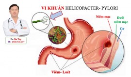 VI KHUẨN HELICOBACTER PYLORI GÂY VIÊM LOÉT DẠ DÀY